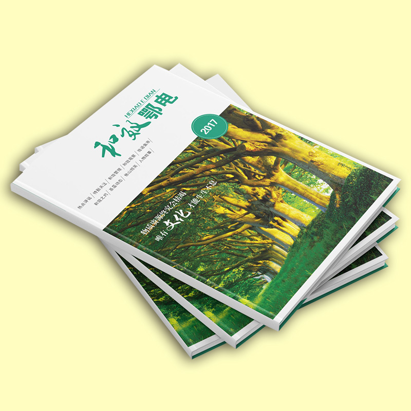 海南琼海印刷厂 画册印刷 画册免费设计印刷